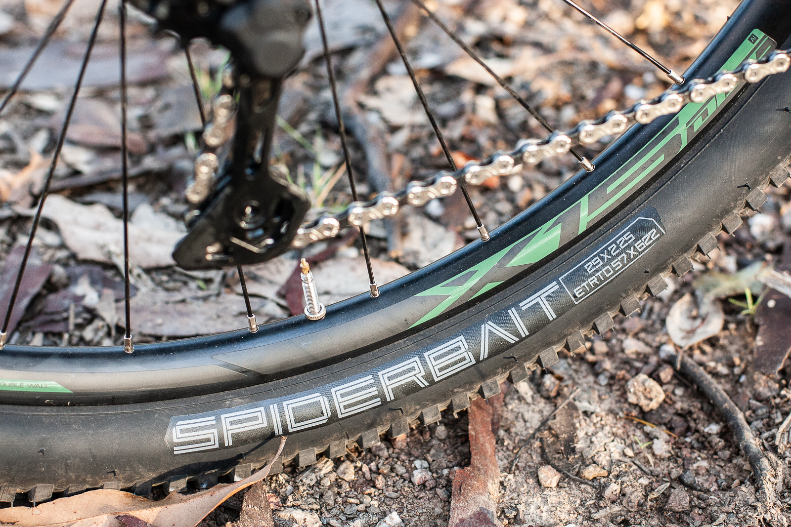entity spiderbait tyres