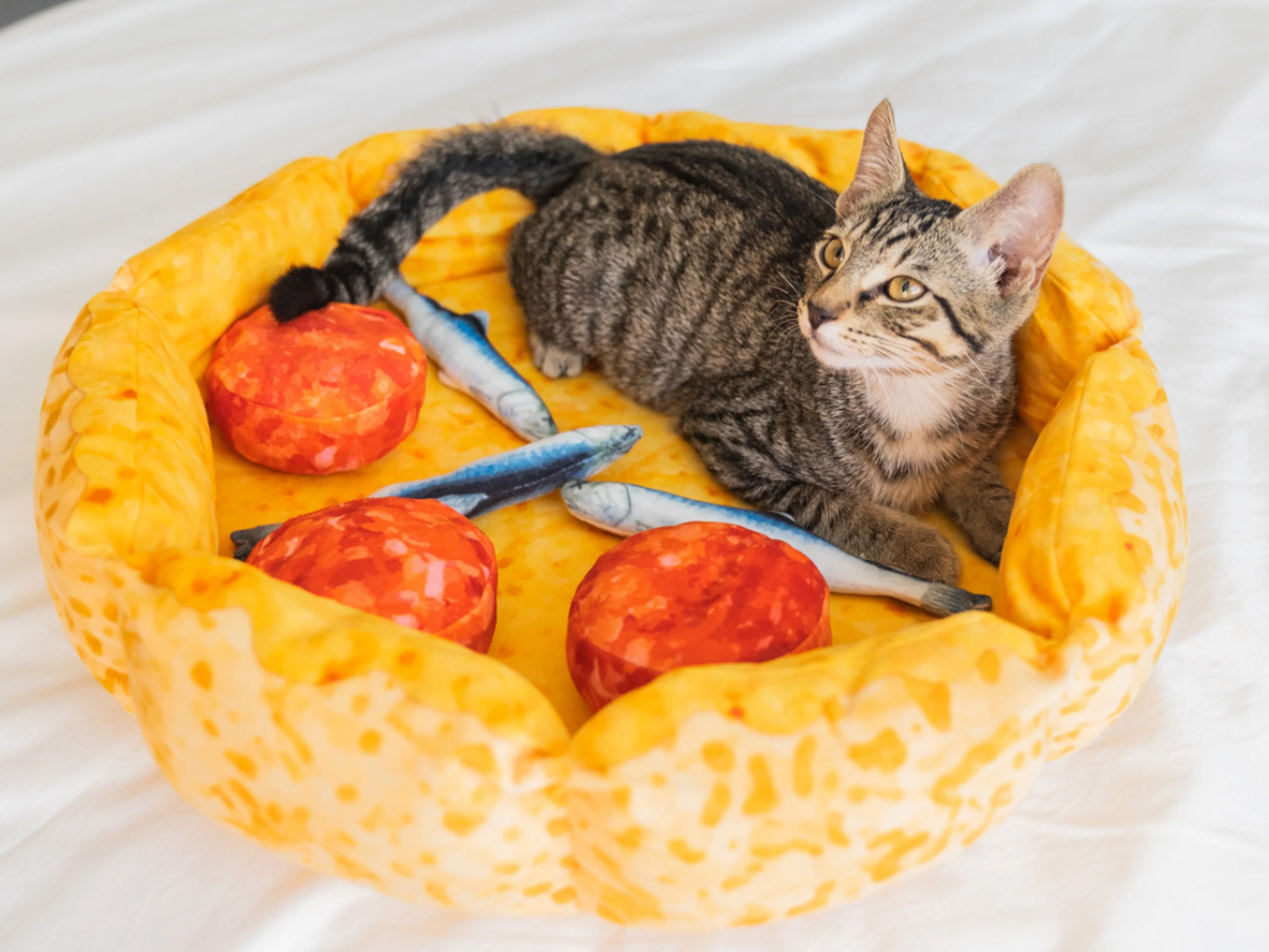 Pizza cat bed cheap