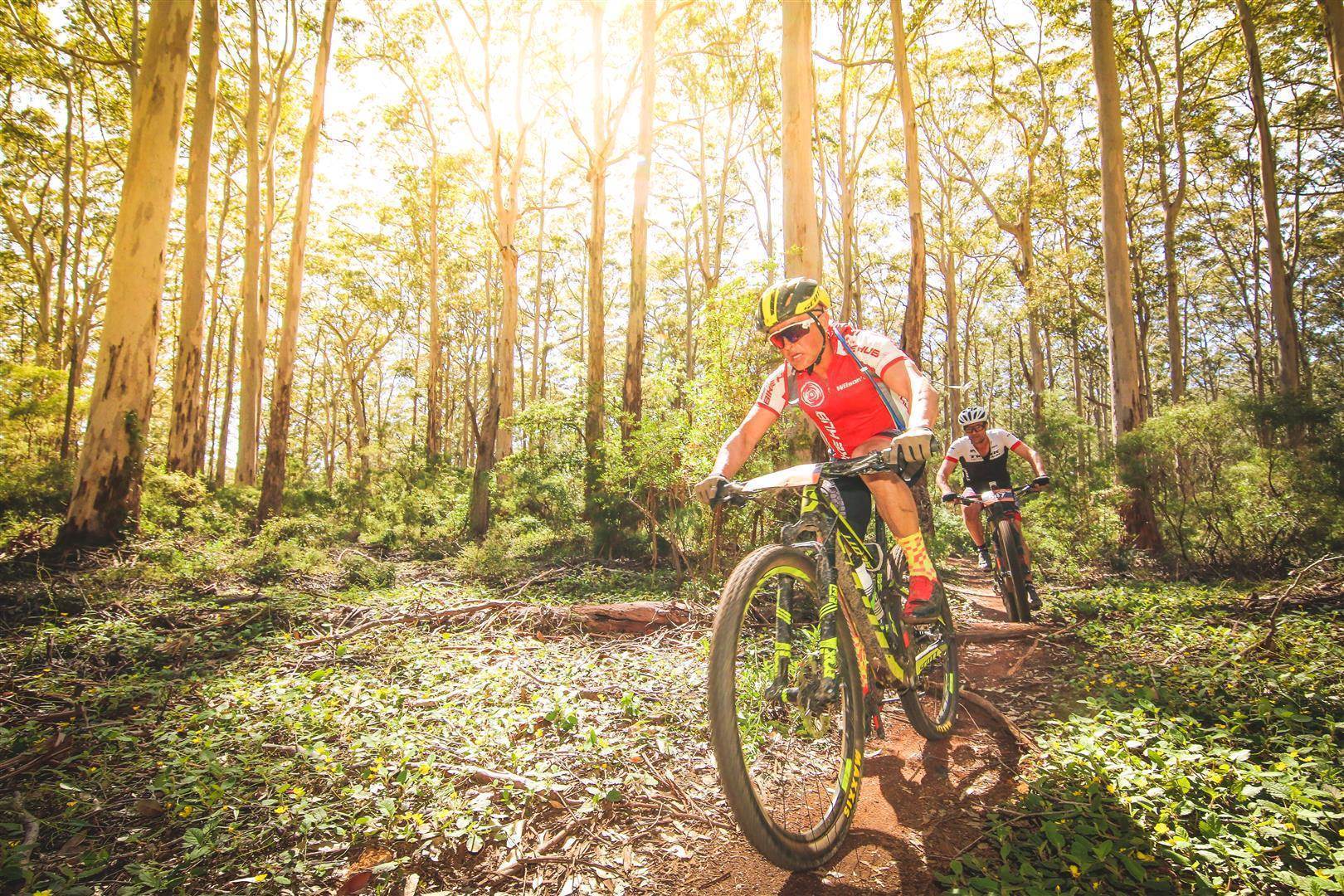 cape bike tours