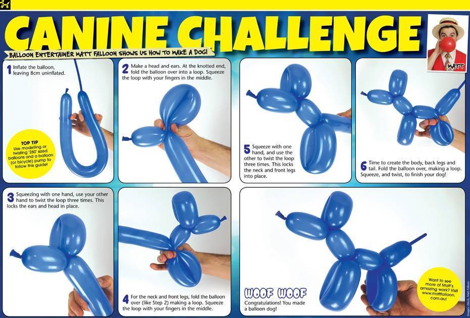 how-to-make-a-balloon-dog-k-zone