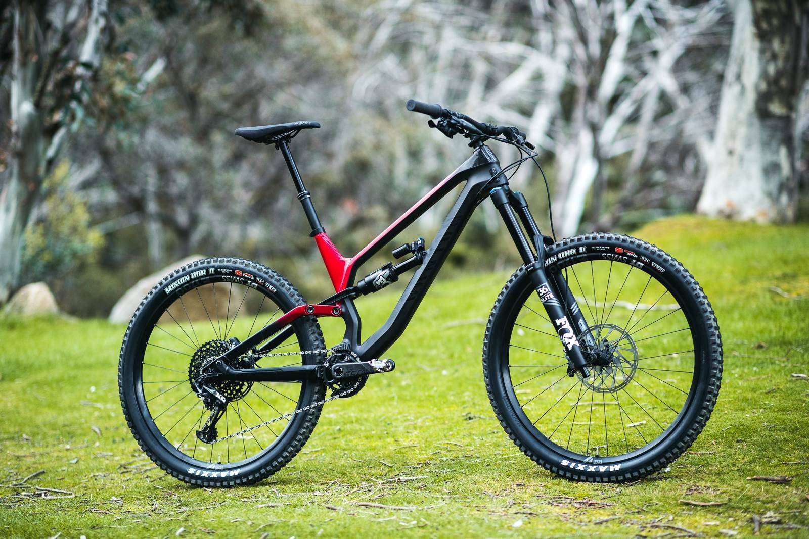 canyon torque frame