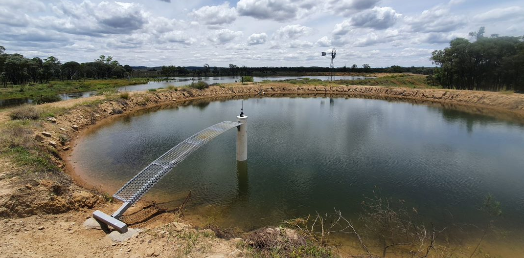 M2M and Precision Livestock Farming install automated water monitoring for Queensland cattle farm - Vimarsana News