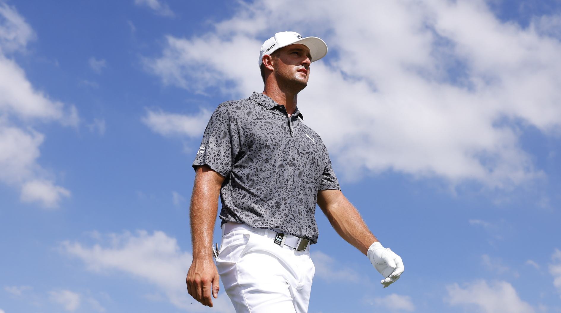 The Dechambeau Volunteer Clash A Golf Scandal Unfolds - jmw0l0d