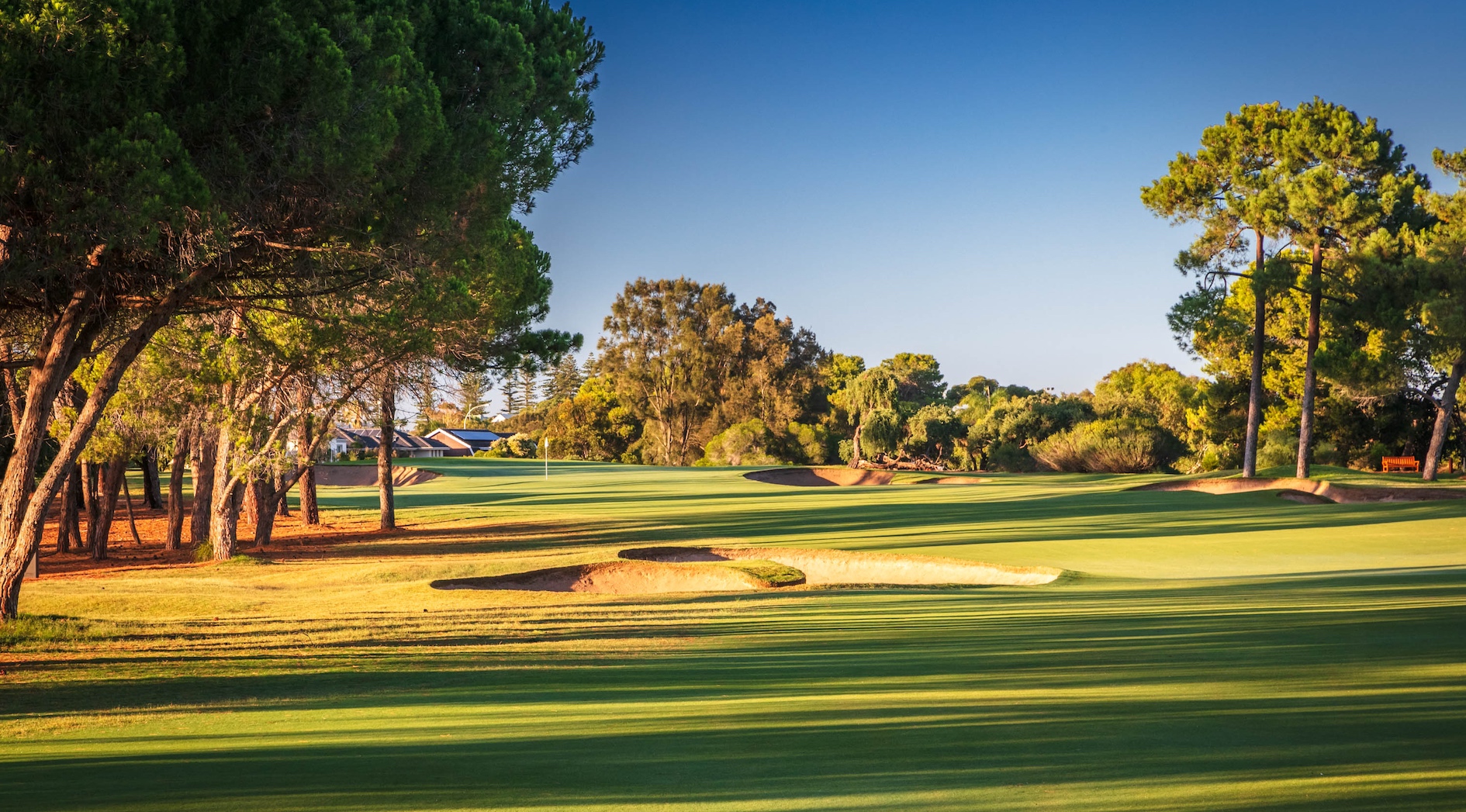 LIV Golf Confirms Adelaide Venue In Multi year Australian Commitment 