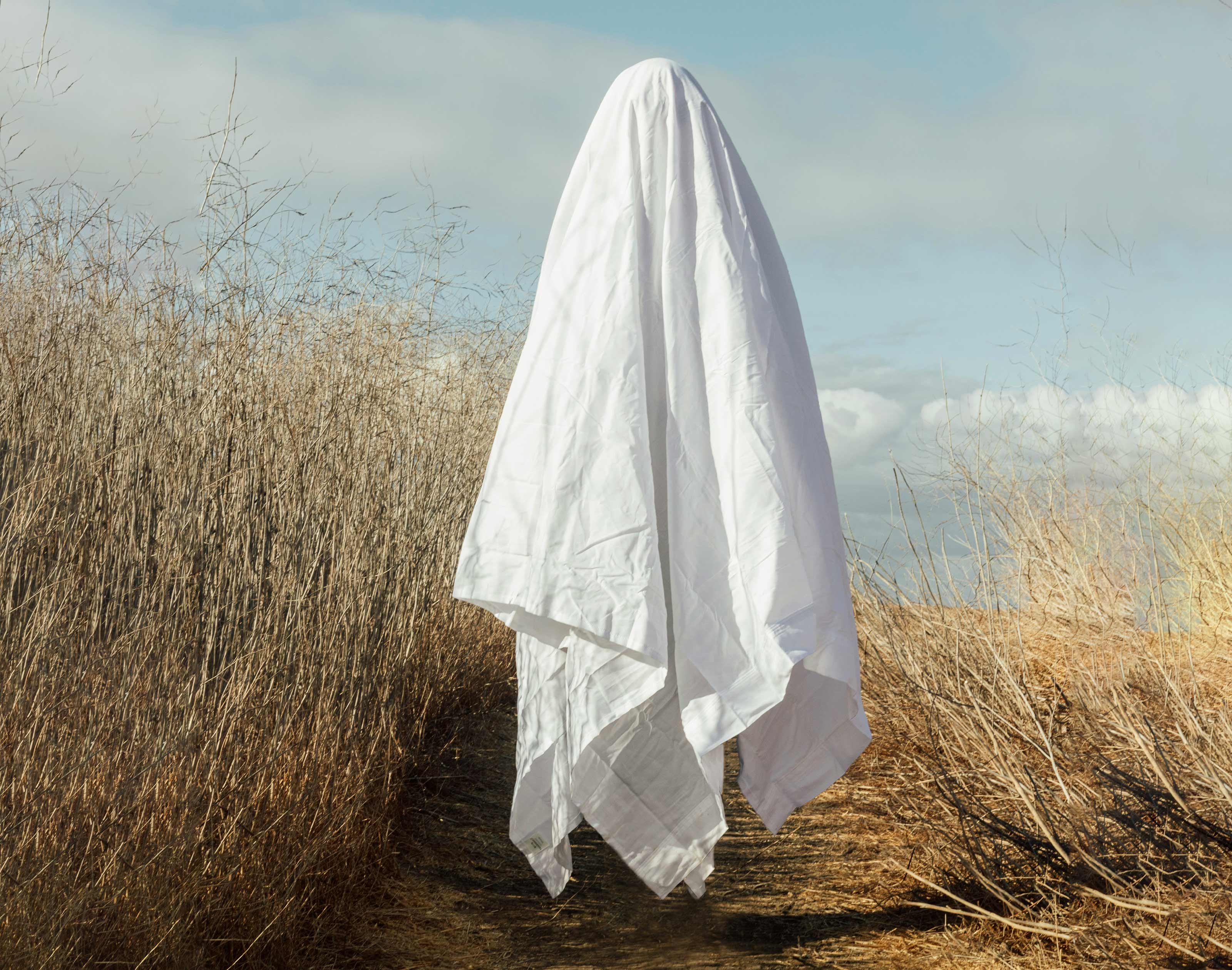 four ideas for a lastminute halloween costume • craft • frankie