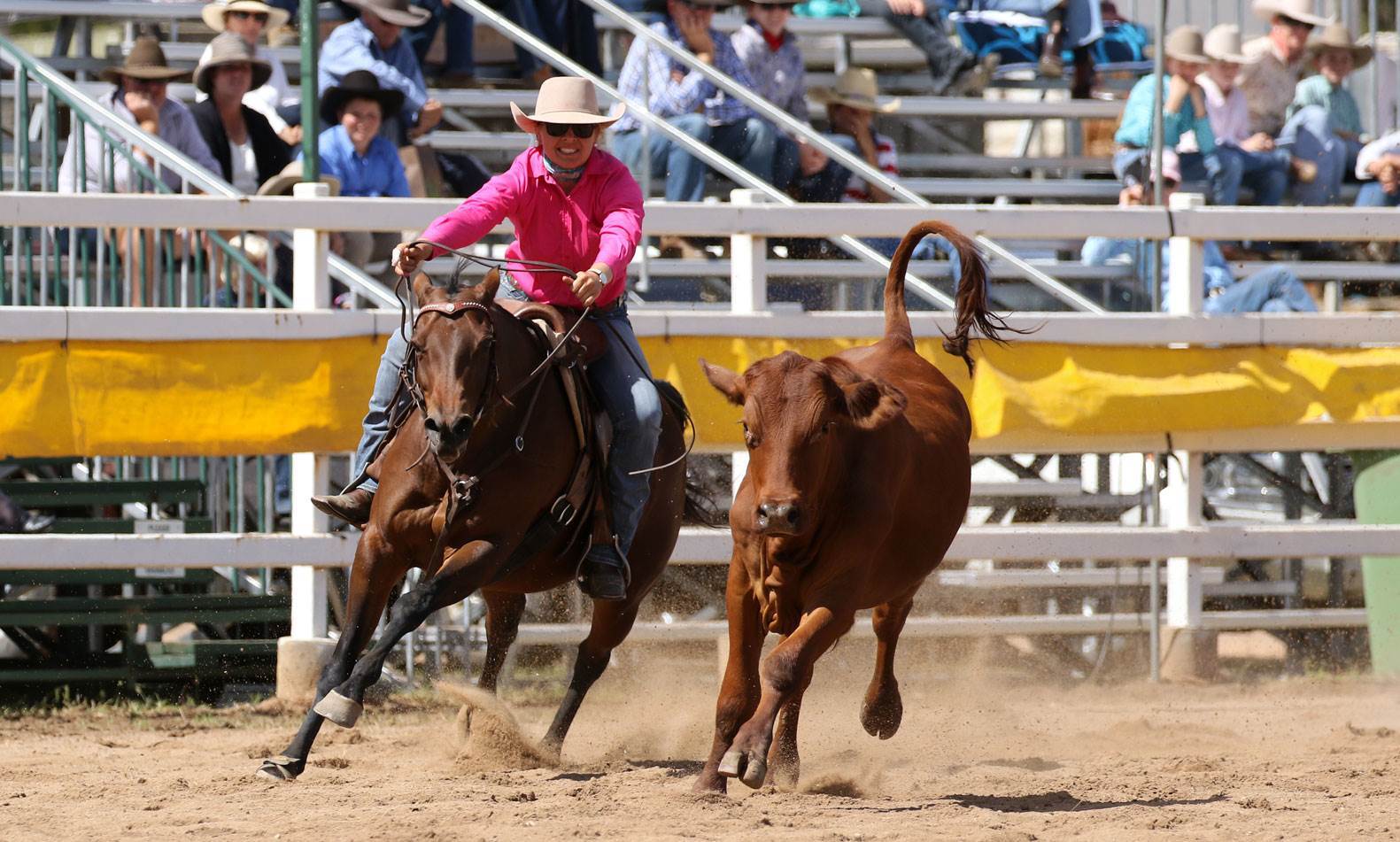Campdrafting the uniquely Australian sport More Sport Inside Sport