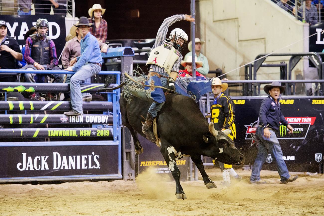 Bull riding best compete for cowboy honours - More Sport - Inside Sport