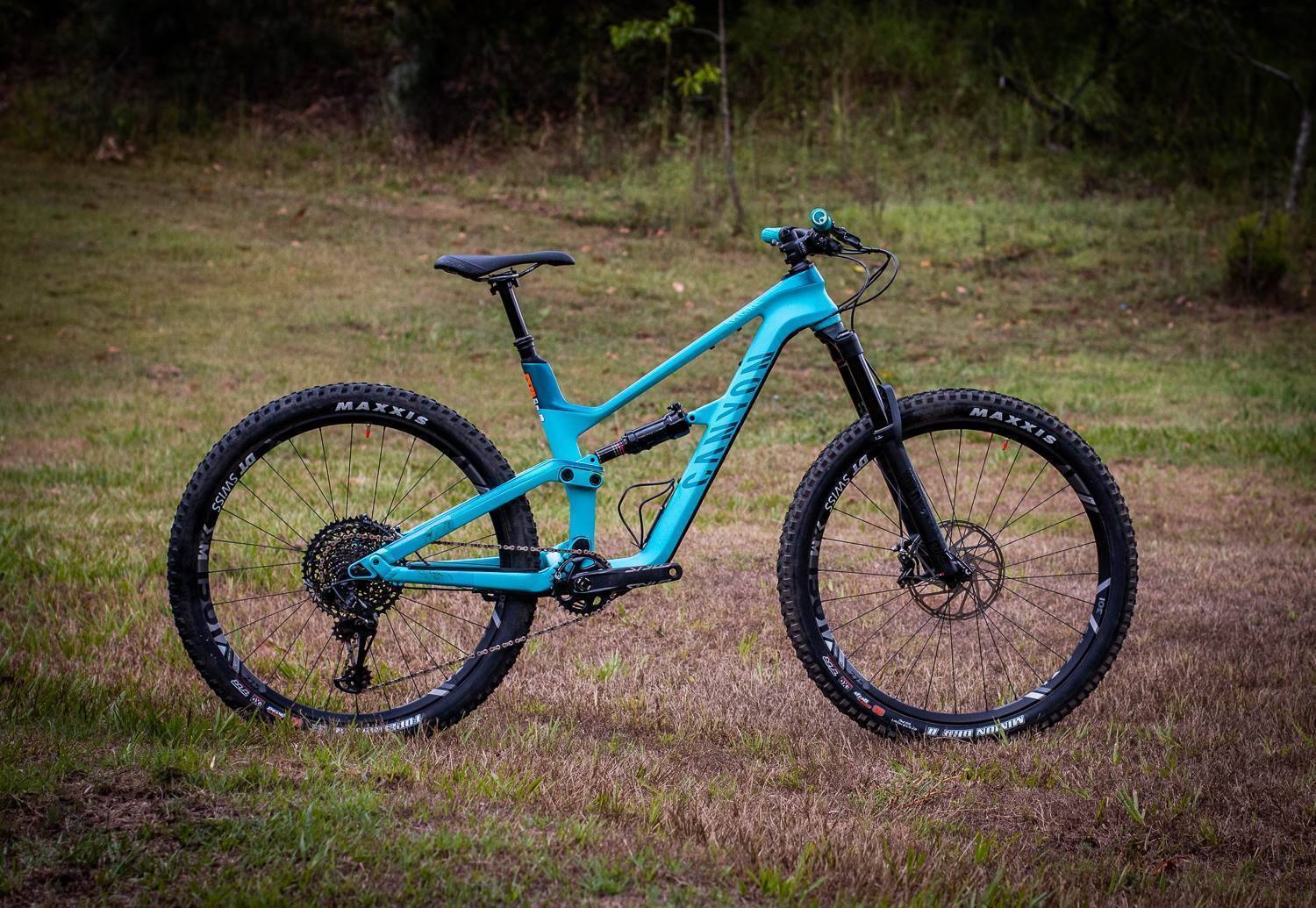 canyon spectral on 8.0 2019