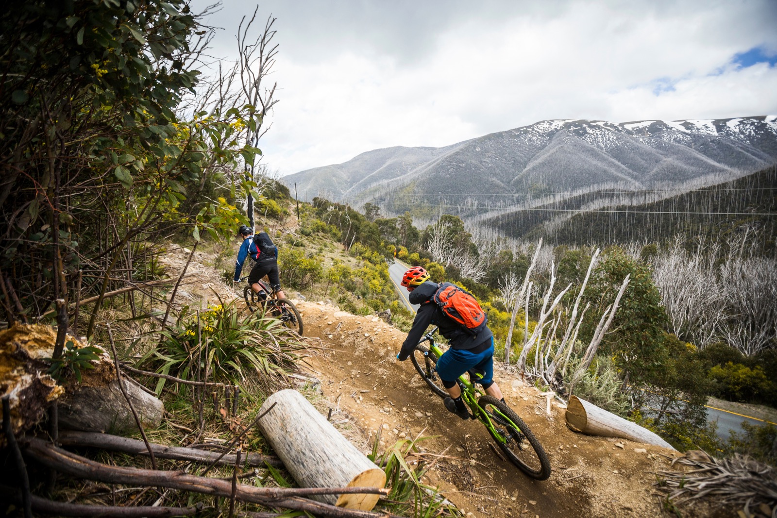 green mountain bike trail