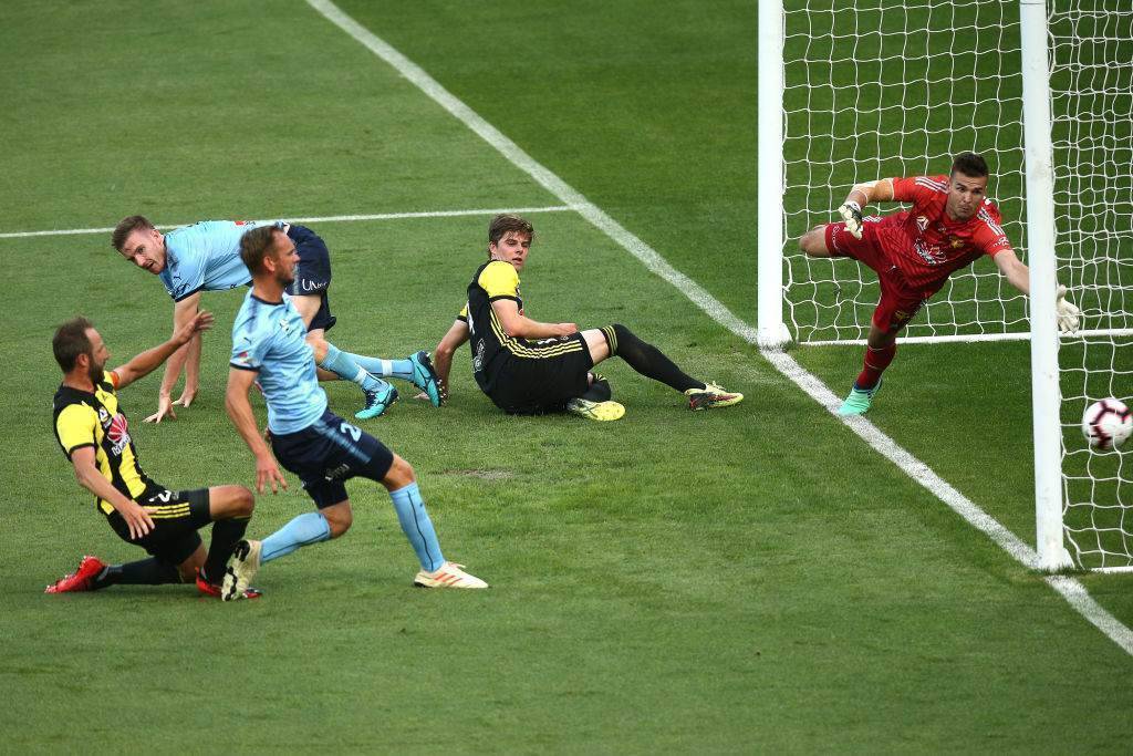 Wellington Phoenix vs Sydney FC Player Ratings FTBL The home of