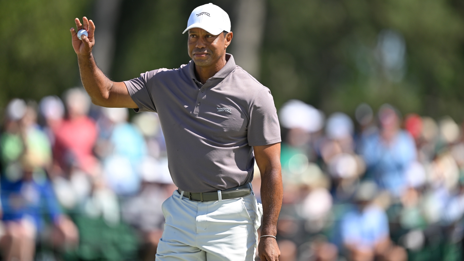 Tiger dares to dream after record 24th straight cut - Golf Australia ...