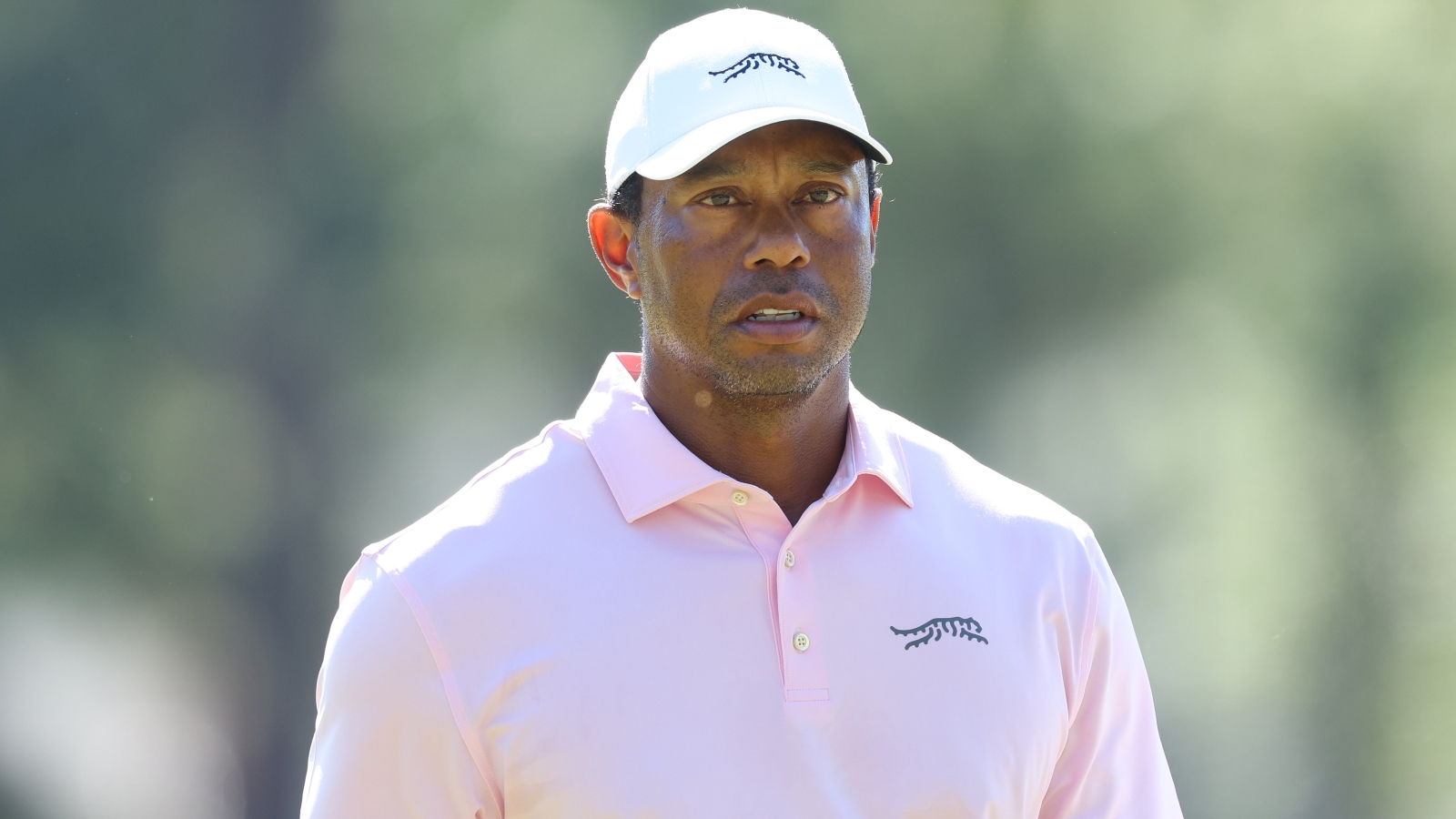 Tiger sees an end in sight for golf’s civil war