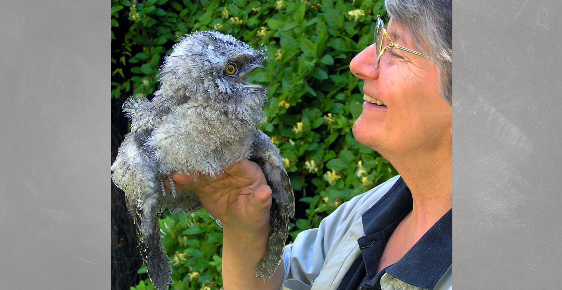 Meet A Field Biologist and Ethologist KZone