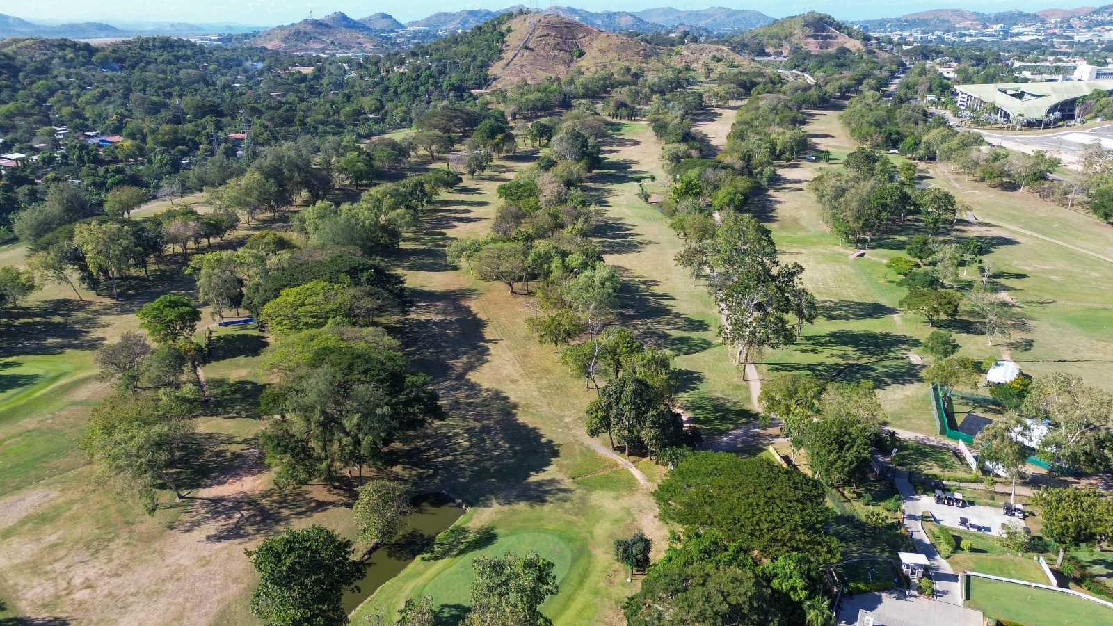 The Preview: PNG Open