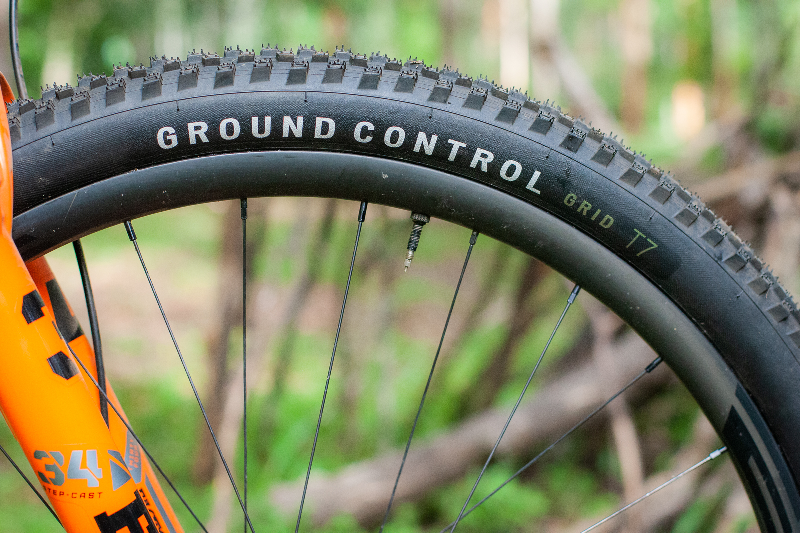 Specialized mtb tires discount 29