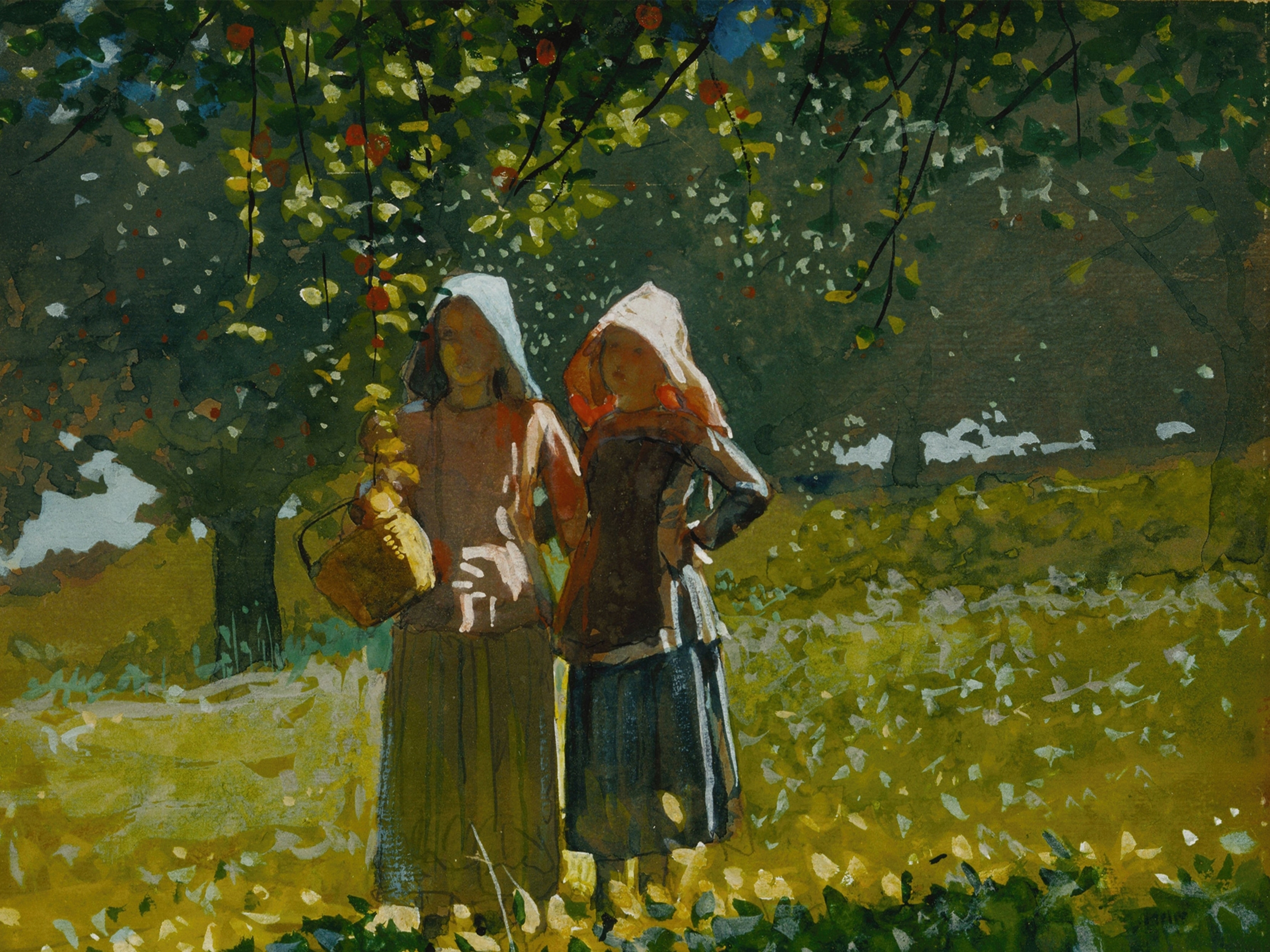 this apple hunter is conserving thousands of america's lost apple