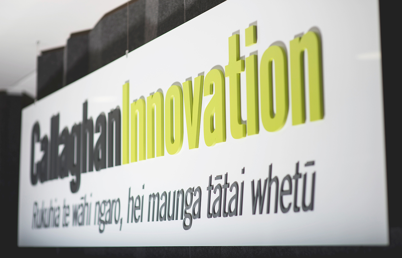 Callaghan Innovation partner with iwi to build data discovery platform - Vimarsana News