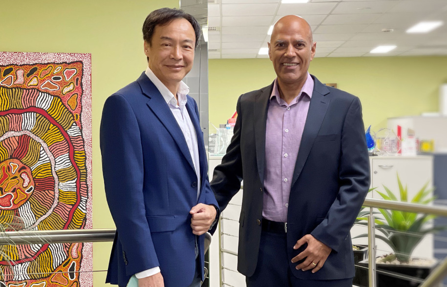 Bluechip Infotech to merge with DNA Connect to create new 'powerhouse' distributor - Vimarsana News