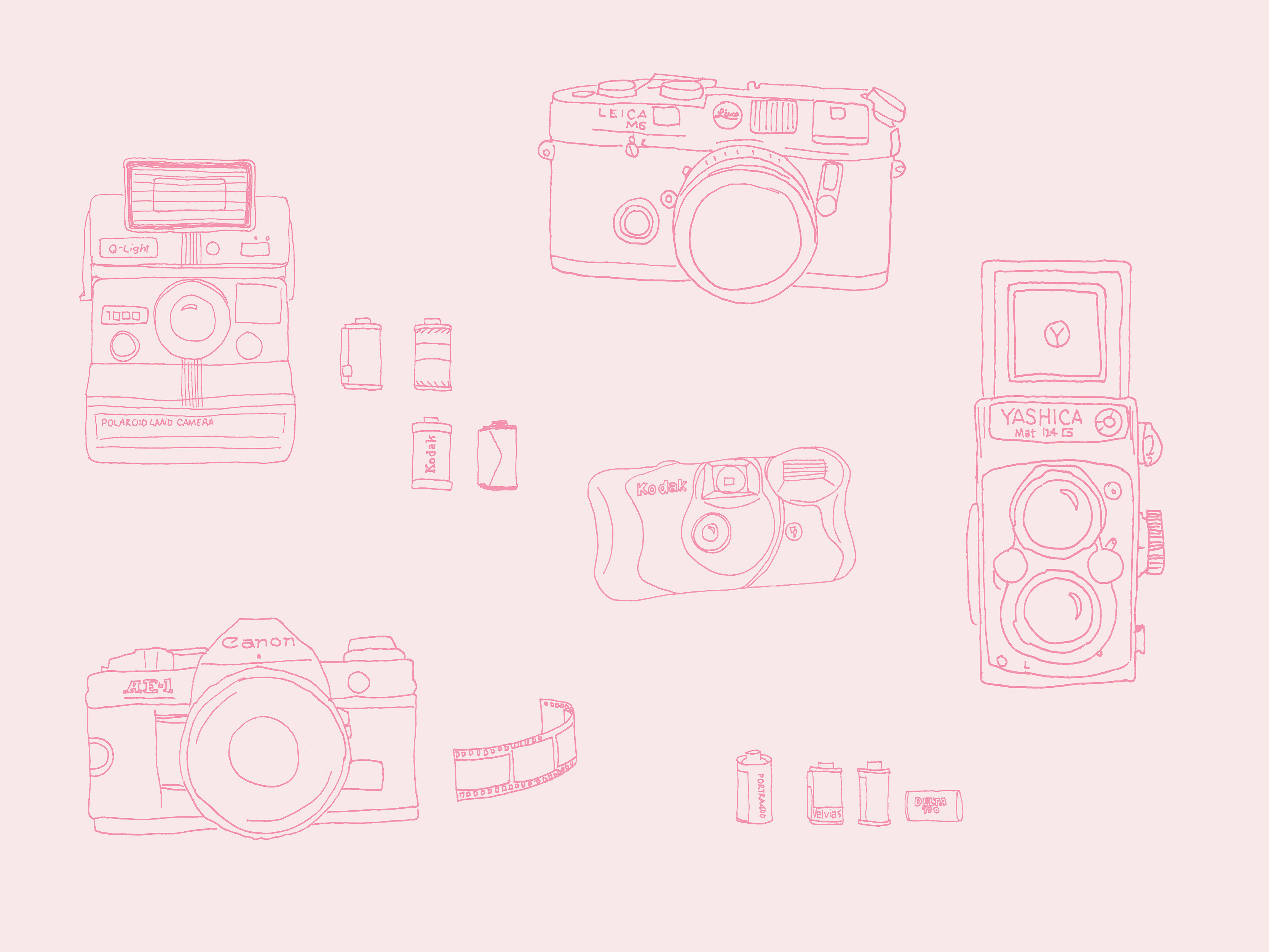 a beginner’s guide to film photography