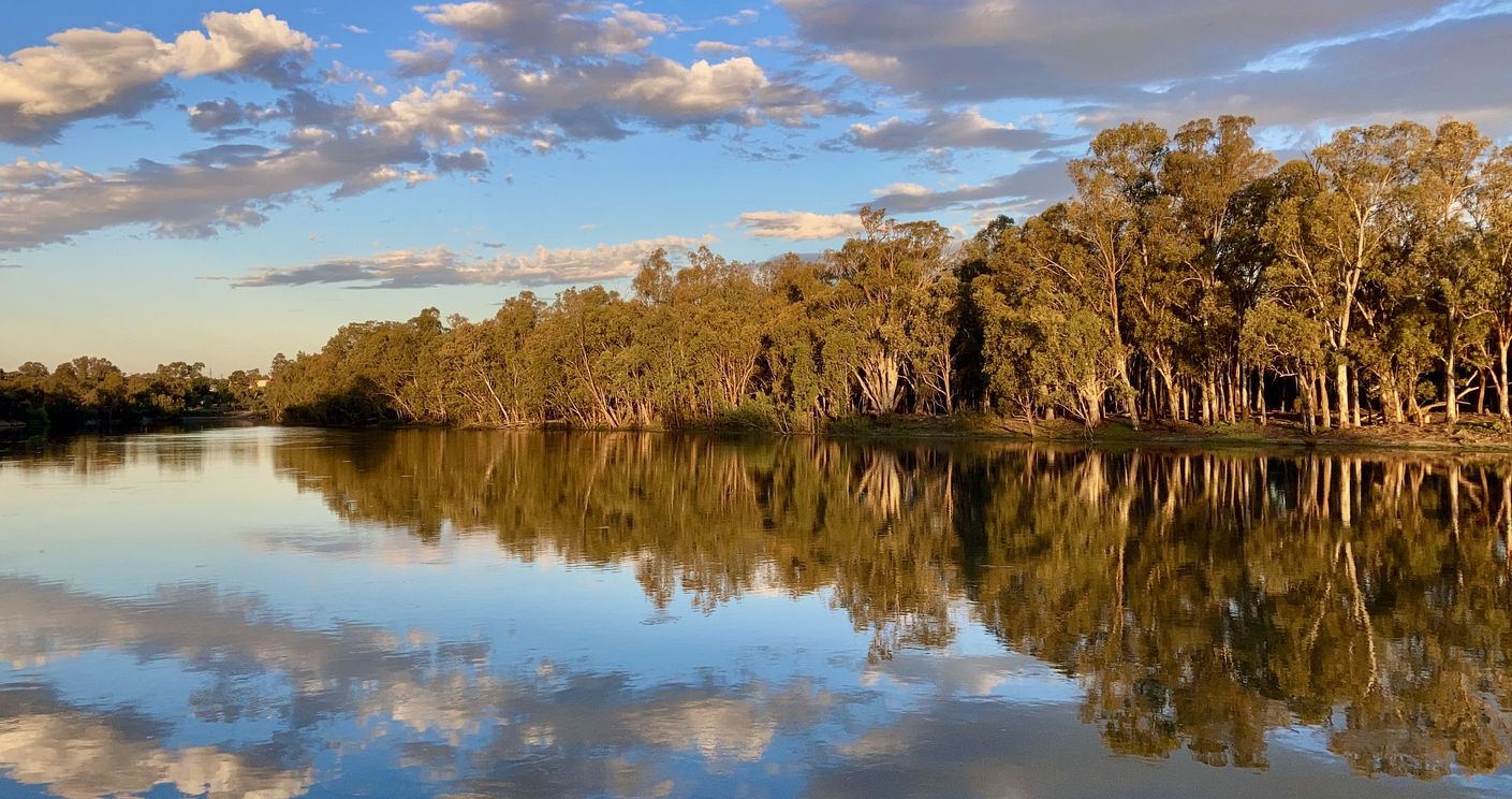 Murray-Darling Basin Authority hunts for new CIO