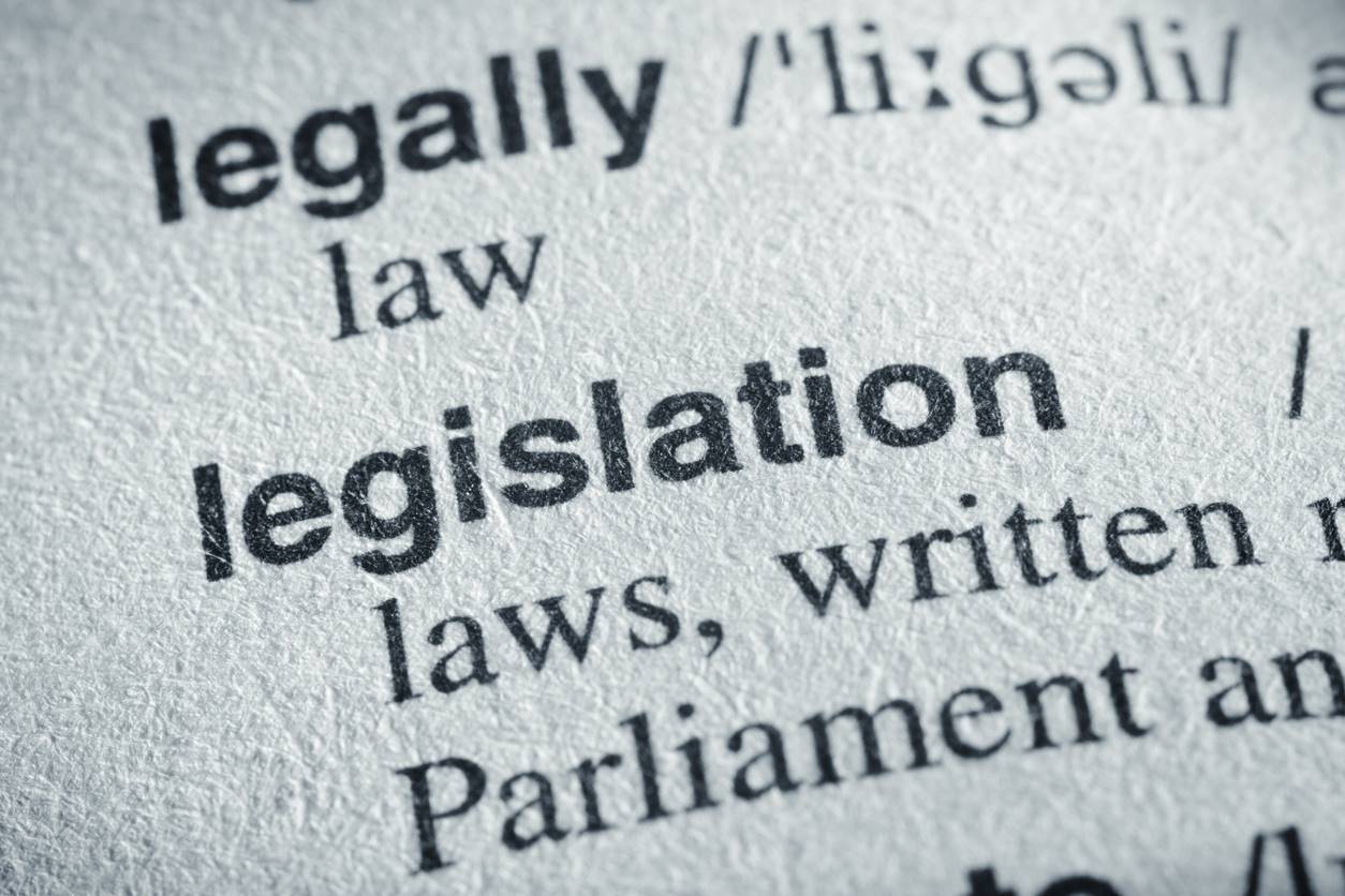 Legislation A Definition at Ruth Brigham blog