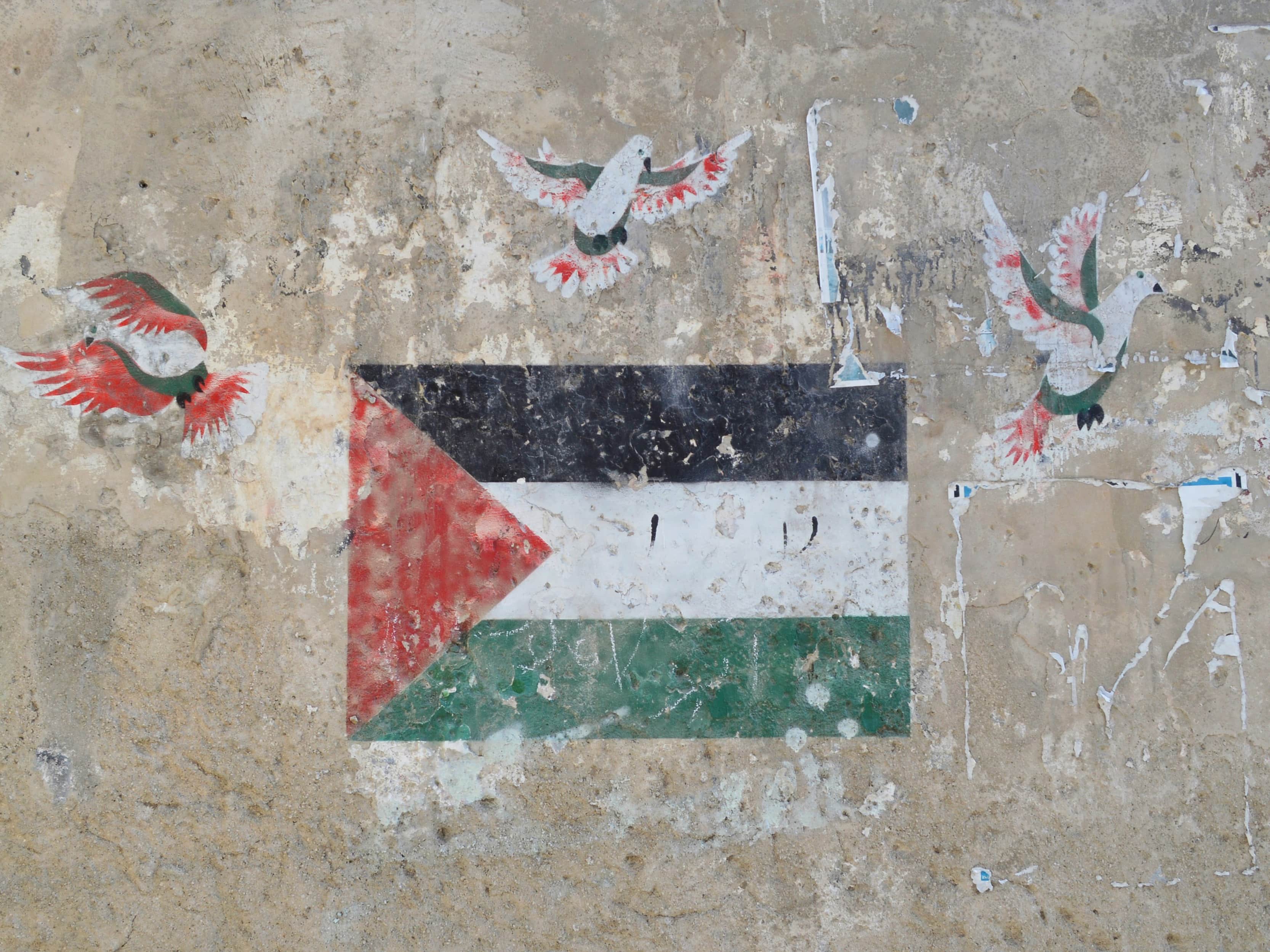 a list of ways to support palestine • life • frankie magazine