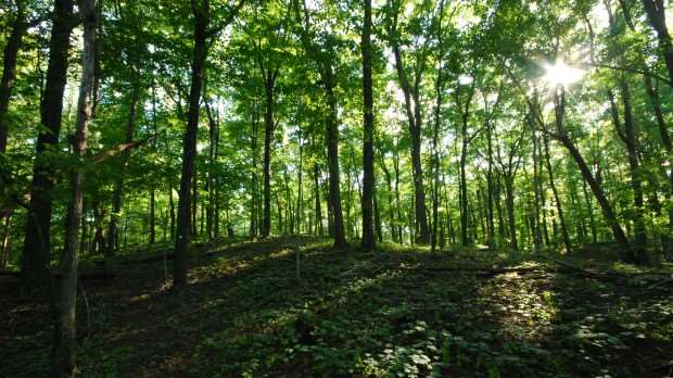Carbon neutral cert will help customers win business, says Greenbox - Vimarsana News