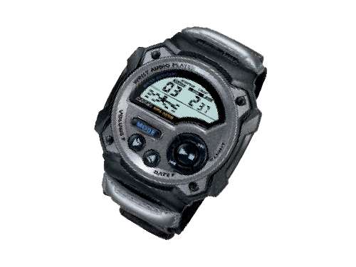 wrist technology casio