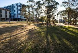 University of Canberra taps Matt Carmichael as next CIO
