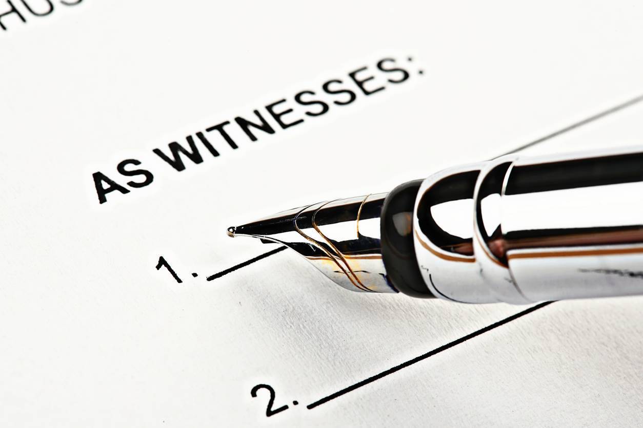 expert witness legal definition