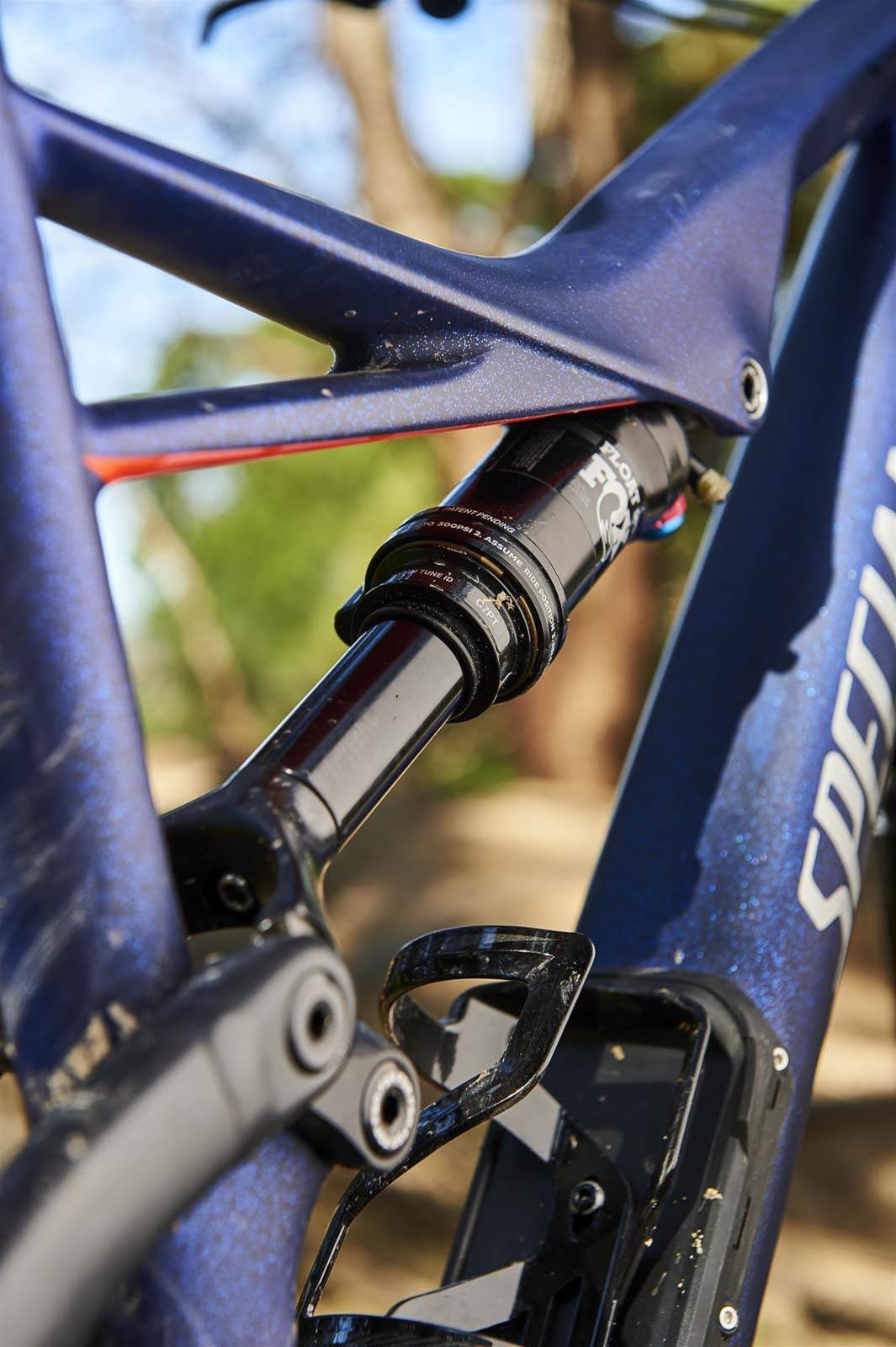 specialized camber women