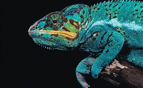 Why are so many vendors hiding their true colours?