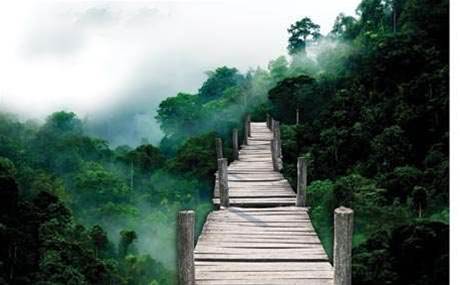 Bridging the gap of death