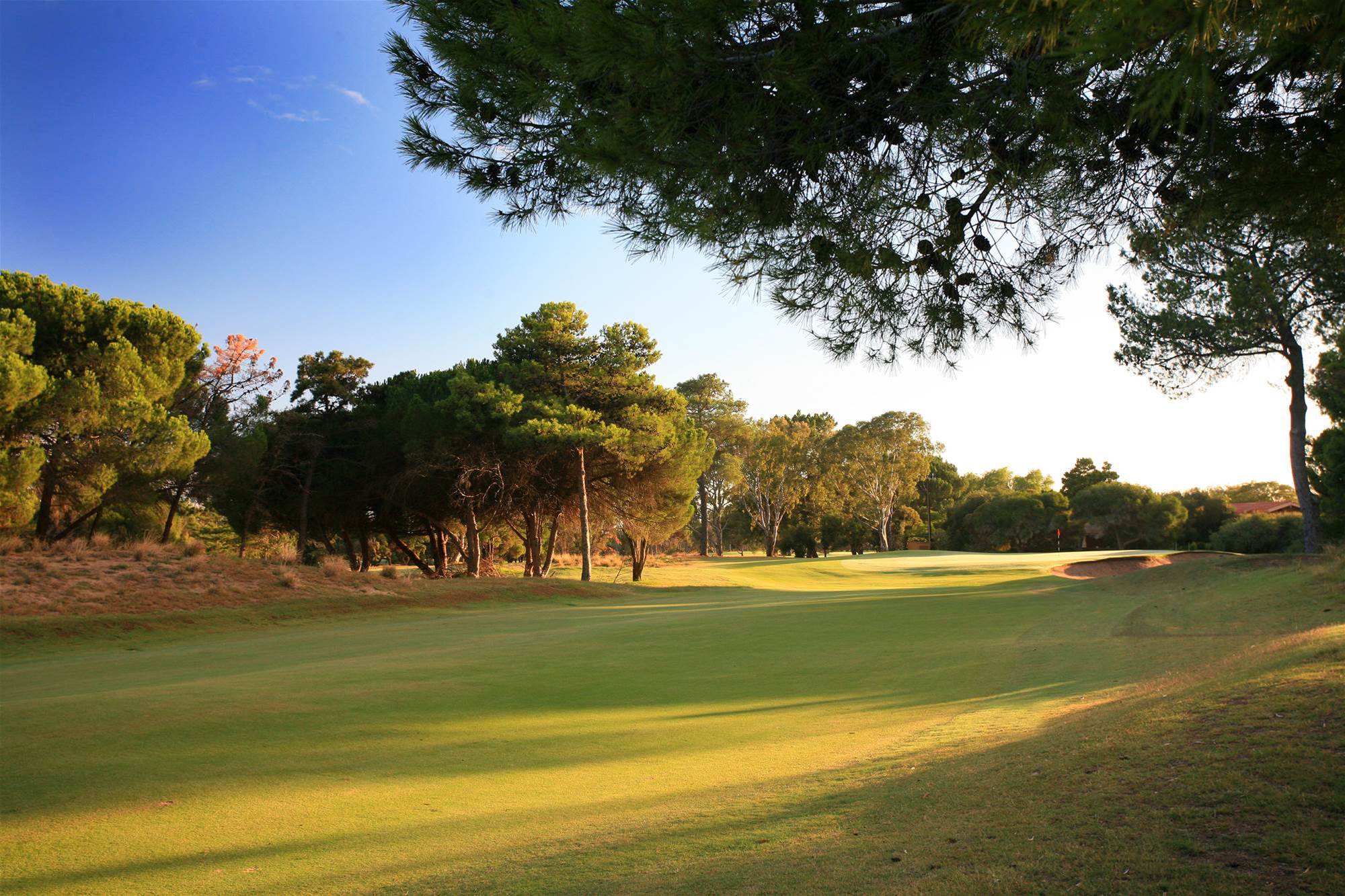 TOP100 SPOTLIGHT The Grange Golf Club Golf Australia Magazine