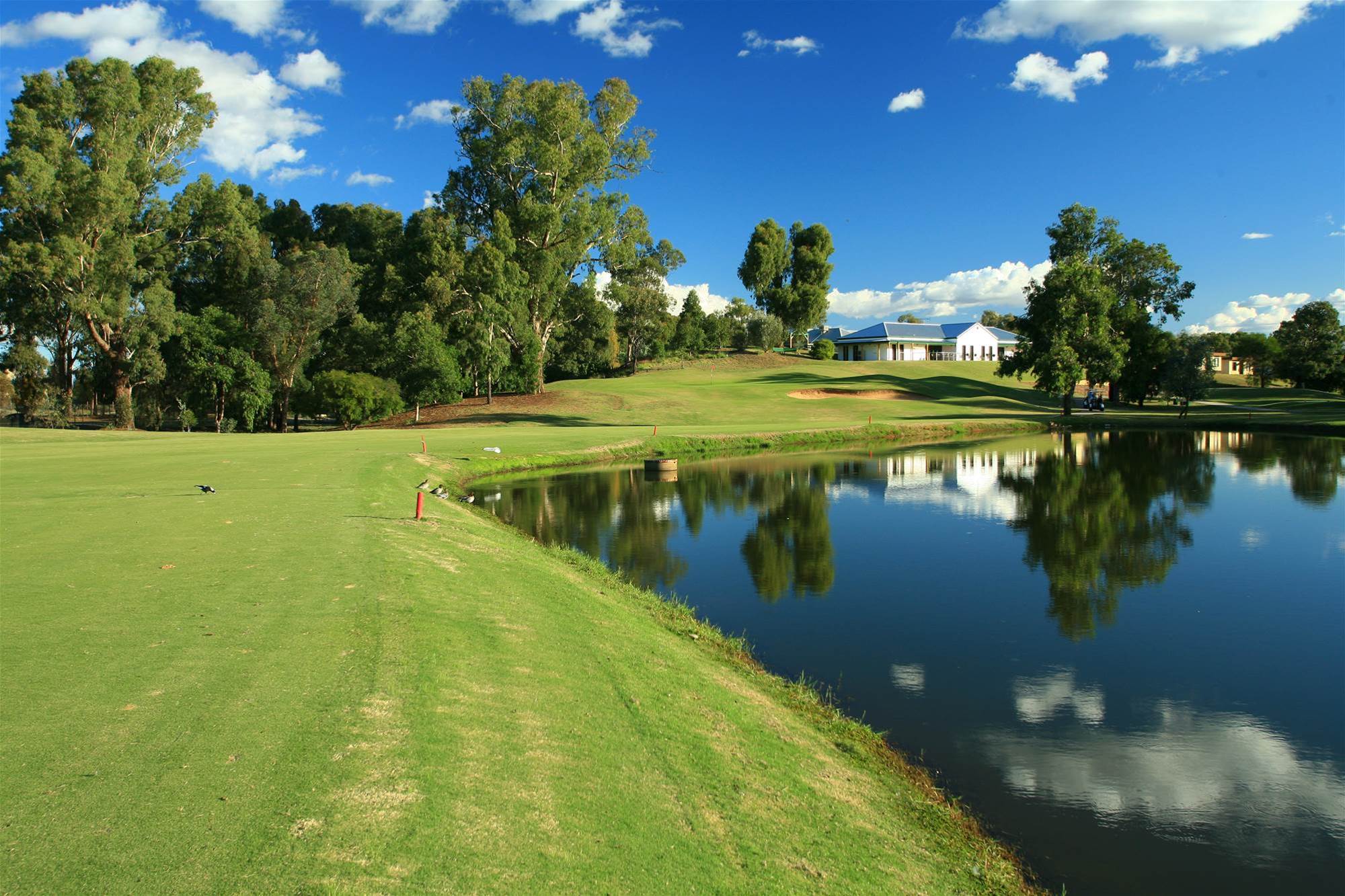 top-golf-course-in-australia-golf-courses-golf-course-photography