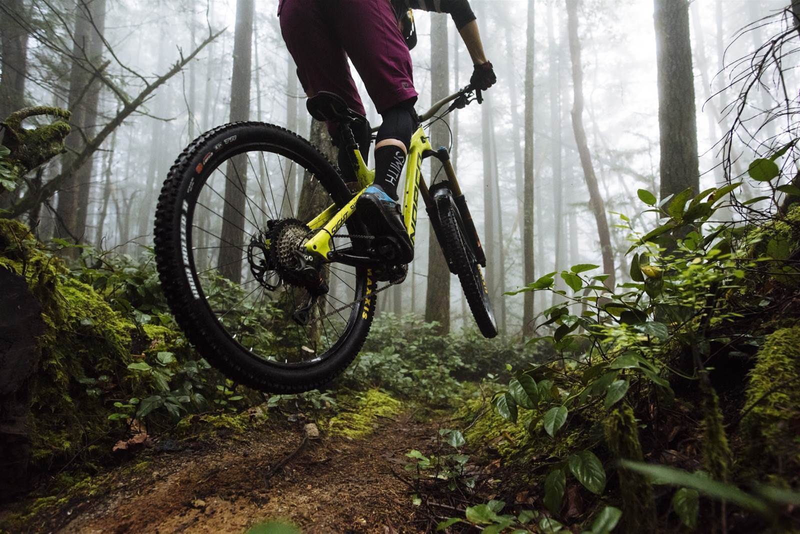 norco sight carbon 2016