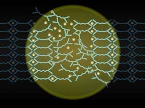 Researchers tout self-healing smartphone screens