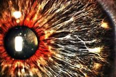 Biometrics