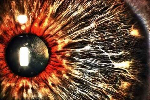Crims outed by Vic cops' facial recognition system