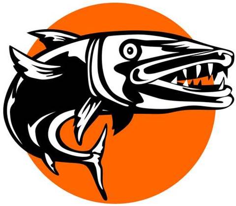 Backdoors found in Barracuda products