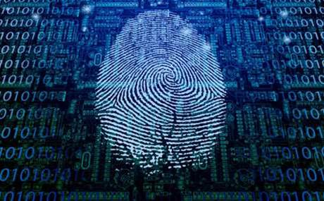 Hackers can steal fingerprints from Android phones remotely