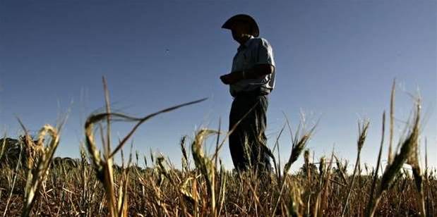 Vodafone Australia lobbies for farm IoT push