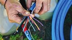 The NBN under a microscope