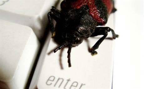 Two critical bugs won't be addressed in Windows XP