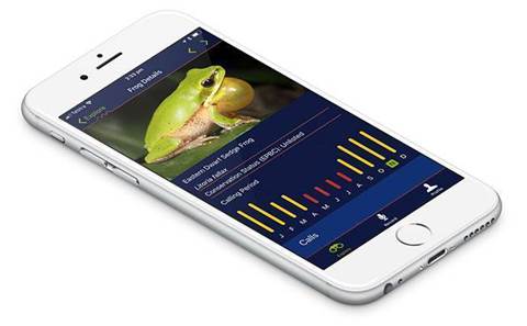 IBM, Australian Museum partner for frog conservation app
