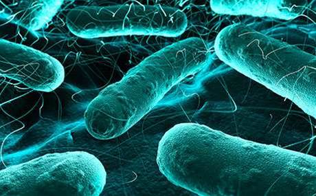This Perth company's smart light switches will spot airborne disease