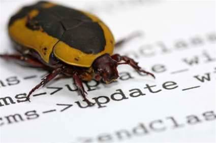 Google search malware strain hits millions
