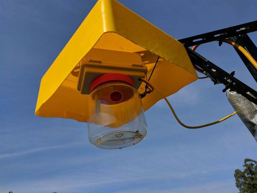 Connected fly traps giving insights to growers