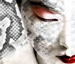 First Python virus found 