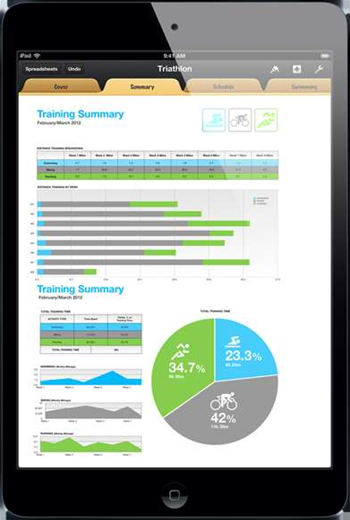 Sales, field workers warm to smaller iPad